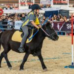 2022-10 - Equita Lyon - Pony games - 038